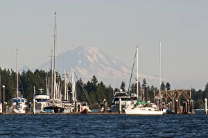 Images Dated 3rd September 2012: USA, WA, Poulsbo. Moorage Poulsbo marina in Liberty Bay with Mt Rainier looming