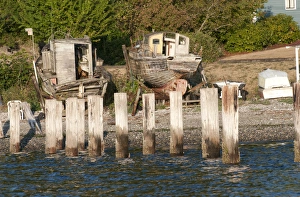 Rich Passage Prints: USA, WA, Puget Sound. Absent pier and derelict boats on Port Orchard Narrows