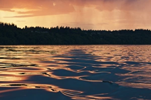 Wake Prints: USA, WA, Puget Sound. Sunset reflected off boat wake on calm waters