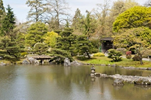 Images Dated 18th April 2012: USA, WA, Seattle. Japanese Gardens part of Washington Park Arboretum managed by City