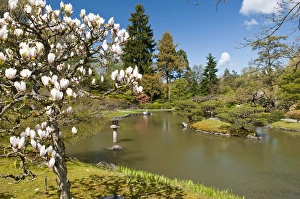 Images Dated 18th April 2012: USA, WA, Seattle. Japanese Gardens part of Washington Park Arboretum managed by City