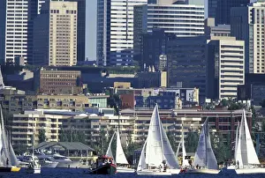 Images Dated 2nd December 2004: USA, WA, Seattle, Lake Union. Duck Dodge sailboat race