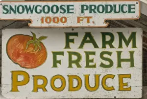 North West Prints: USA, WA, Skagit Valley. Open air produce market on Fir Island