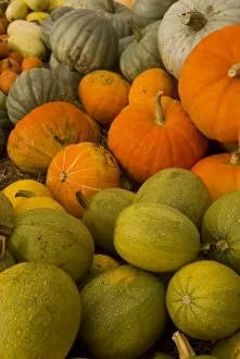 USA, WA, Whidbey Island. Bountiful fall harvest