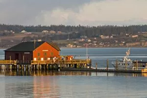 Images Dated 1st April 2008: USA, WA, Whidbey Island, Coupeville. Wharf and whale watching boat at first light