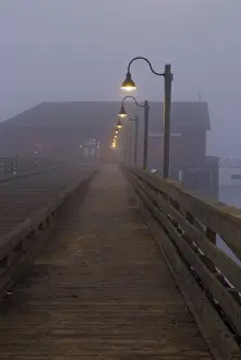 Coupeville Prints: USA, WA, Whidbey Island. Coupeville wharf in fog pre dawn