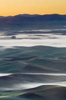 Images Dated 15th May 2008: USA, WA, Whitman Co. Foggy Palouse Farm Fields From Steptoe Butte SP at Dawn, Whitman Co