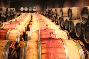 USA, Washington, Walla Walla, vineyard