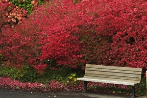 USA, Washington
