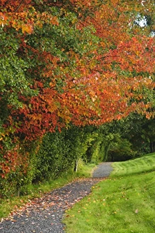 USA, Washington