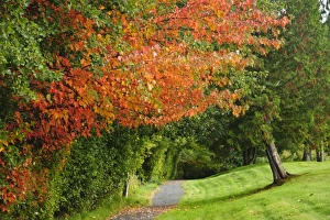 Images Dated 20th October 2009: USA, Washington