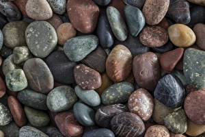 USA, Washington. Close-up of rock assortment