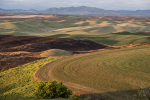 Vast Prints: USA: Washington, Columbia River Basin, Snake River Basin, Steptoe Butte views of