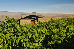 Images Dated 1st September 2011: USA, Washington, Columbia Valley. Cave B Estate Winery is an award-winning boutique