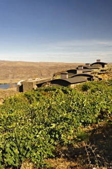 Images Dated 1st September 2011: USA, Washington, Columbia Valley. Cave B Estate Winery is an award-winning boutique