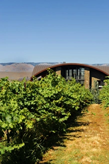 Images Dated 1st September 2011: USA, Washington, Columbia Valley. Cave B Estate Winery is an award-winning boutique
