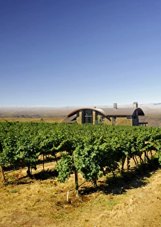 Images Dated 1st September 2011: USA, Washington, Columbia Valley. Cave B Estate Winery is an award-winning boutique