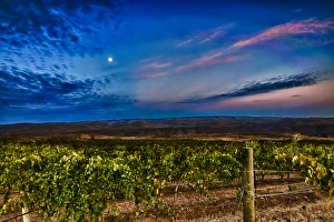 Images Dated 13th October 2011: USA, Washington, Columbia Valley. Moon over the Cave B Estate Winery, a boutique