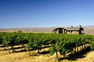 Images Dated 1st September 2011: USA, Washington, Columbia Valley. Cave B Estate Winery is an award-winning boutique
