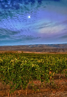 Images Dated 13th October 2011: USA, Washington, Columbia Valley. Moon over the Cave B Estate Winery, an award-winning