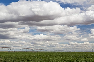 Images Dated 3rd June 2015: USA, Washington, Connell. Irrigation device in farm field