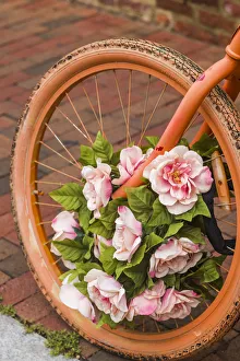 Bicycle Prints: USA, Washington D. C. Georgetown. painted bicycle