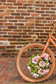 Bicycle Prints: USA, Washington D. C. Georgetown. painted bicycle