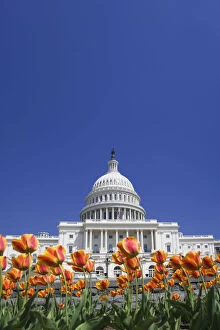 Images Dated 24th April 2007: USA, Washington, DC. Capitol building. Credit as: Dennis Flaherty / Jaynes Gallery / DanitaDelimont