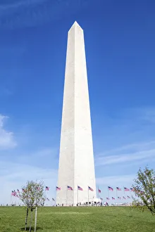 District Of Columbia Prints: USA, Washington, DC, Flags Waving Around the Washington Monument
