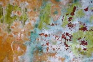 Images Dated 11th August 2010: USA, Washington, Fort Hayden. Abstract details of painted wall