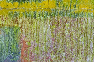Images Dated 18th June 2013: USA, Washington, Fort Hayden. Abstract details of painted wall