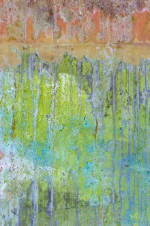 Images Dated 18th June 2013: USA, Washington, Fort Hayden. Abstract details of painted wall