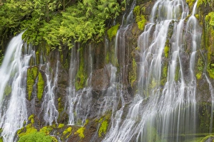 Images Dated 28th May 2014: USA, Washington, Gifford Pinchot National Forest. Spring scenic of Panther Creek Waterfall