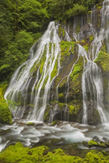 USA, Washington, Gifford Pinchot National Forest. Spring scenic of Panther Creek Waterfall