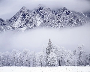 King County Prints: USA, Washington, King County, Mt. Si after snowfall, Cascade Range