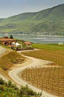 Lake Chelan Prints: USA, Washington, Lake Chelan. Benson Vineyards Estate Winery is the only 100% estate