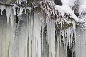 Leavenworth Prints: USA, Washington, Leavenworth. Close-up of icicles and snow