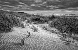 Long Beach Prints: USA, Washington, Long Beach, Dusk on the beach dunes
