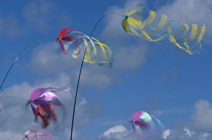 Twist Prints: USA, Washington, Long Beach. Kites on the beach