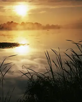 Charles Gurche Prints: USA, Washington, Lopez Island, Morning fog on Hummel Lake
