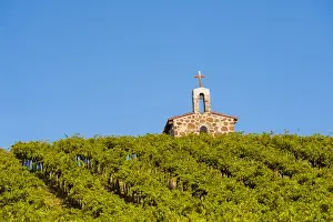 Images Dated 20th August 2014: USA, Washington, Mabton. Red Willow vineyard supplies malbec grapes to many of Washington s