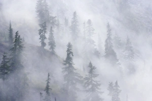 Images Dated 14th April 2009: USA, Washington, Mount Baker Wilderness