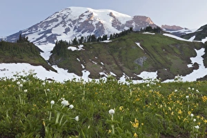Images Dated 25th July 2012: USA, Washington, Mount Rainier National Park