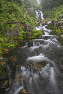 Images Dated 2nd August 2013: USA, Washington, Mount Rainier National Park. Cascades on Sunbeam Creek. Credit as