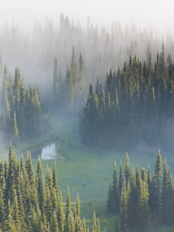 Images Dated 3rd August 2013: USA, Washington, Mount Rainier National Park. Overview of Surprise Lake. Credit as