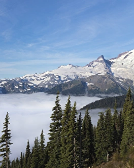 Images Dated 3rd August 2013: USA, Washington, Mount Rainier National Park. Landscape from Sunrise Point. Credit as