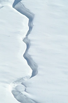 Images Dated 8th June 2007: USA, Washington, Mount Saint Helens National Park. Ridge of snow blown by wind