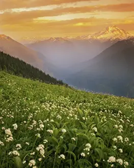 Images Dated 21st May 2013: USA, Washington, Mt. Baker-Snoqualmie National Forest, Glacier Peak Wilderness, Meadow