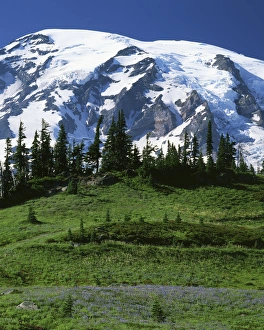 USA, Washington, Mt. Rainier National Park, Mt. Rainier from Paradise Meadows