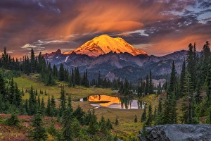 Dennis Kirkland Prints: USA, Washington, Mt. Rainier National Park